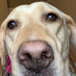 Meet your Posher, Kaleb